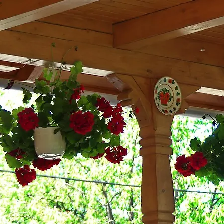 Casa Moroseneasca Guest house *