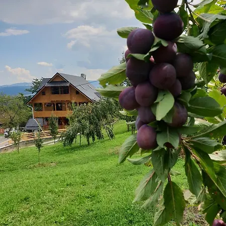 Casa Moroseneasca Guest house Satu Sugatag